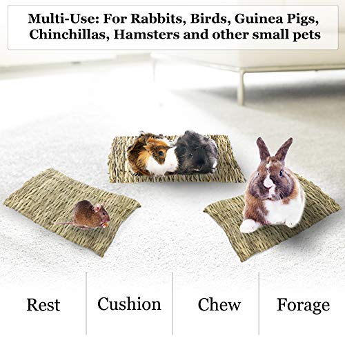 10 Best Rabbit Bedding Reviews For 2023 Animal Corner