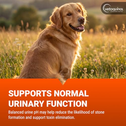 Image of Vetoquinol Methigel - Urinary Acidifier for Dogs & Cats - Supports Bladder Health & pH Balance in Pets - Odor Neutralizer Support - Great Taste for Easy, Daily Use - 4.25 oz