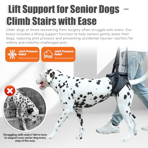 Image of Dog Sling for Medium Large Dog Rear Leg, Lift Harness Provide Support with Muscle Atrophy and Joint Problems for Elderly Injured Arthritic Pet, Dog Weak Rear Legs Provides Rehabilitation Aid