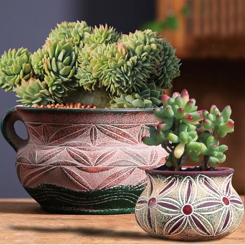 qumHmup Ceramic Succulent Pot with Drainage Hole, Bohemia Rustic Decorative Planter, Set of 2, Indoor Outdoor