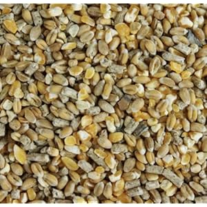 Maltbys’ Stores 1904 Limited 15kg CHICKEN CORN EXTRA WITH GRIT MIXED POULTRY FOOD