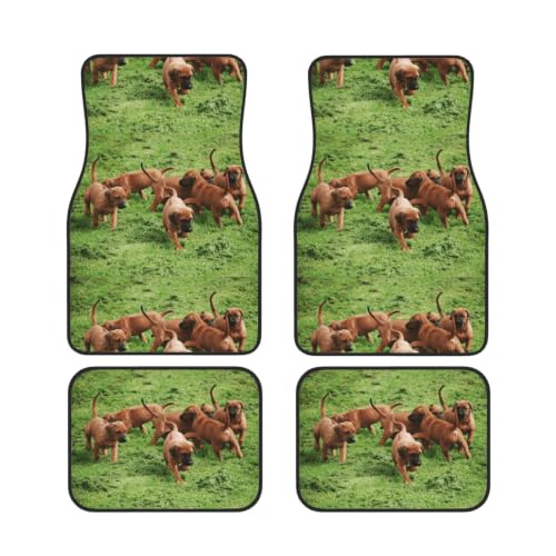 Alfombrillas de Rhodesian Ridgeback para viajar con tu perro en el coche