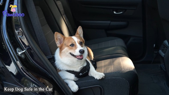 Pawaboo Dog Seat Belt Harness for Car, Dog Car Harness Seatbelt with Double Clips, Adjustable Breathable Pet Vest & Dogs Safety Tether with Elastic Bungee for Small Medium Large Pet, L, Black - image 7