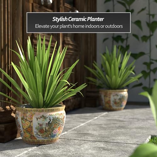Red Lantern 12" Satsuma Porcelain Fishbowl Planter by Red Lantern - Image 2