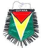 Guyana Mini Flag for car Windows Rearview Mirror