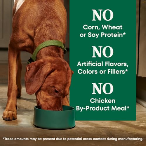 Nutro Natural Choice Adult Dry Dog Food, Chicken & Brown Rice Recipe, 5 lb | Non-GMO, Real chicken #1 ingredient, no corn, wheat, soy or chicken by-product meal, supports skin & coat/digestion/immunity - image 7