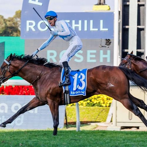 『Off "N" Racing』のカバーアート