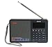 Tecsun ICR-110 4-in-1 Digital Portable AM/FM Radio + MP3 Player + Desktop / Laptop Computer USB Speaker + Digital Recorder, Color Gray (English Version)
