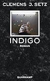  Indigo: Roman (suhrkamp taschenbuch)