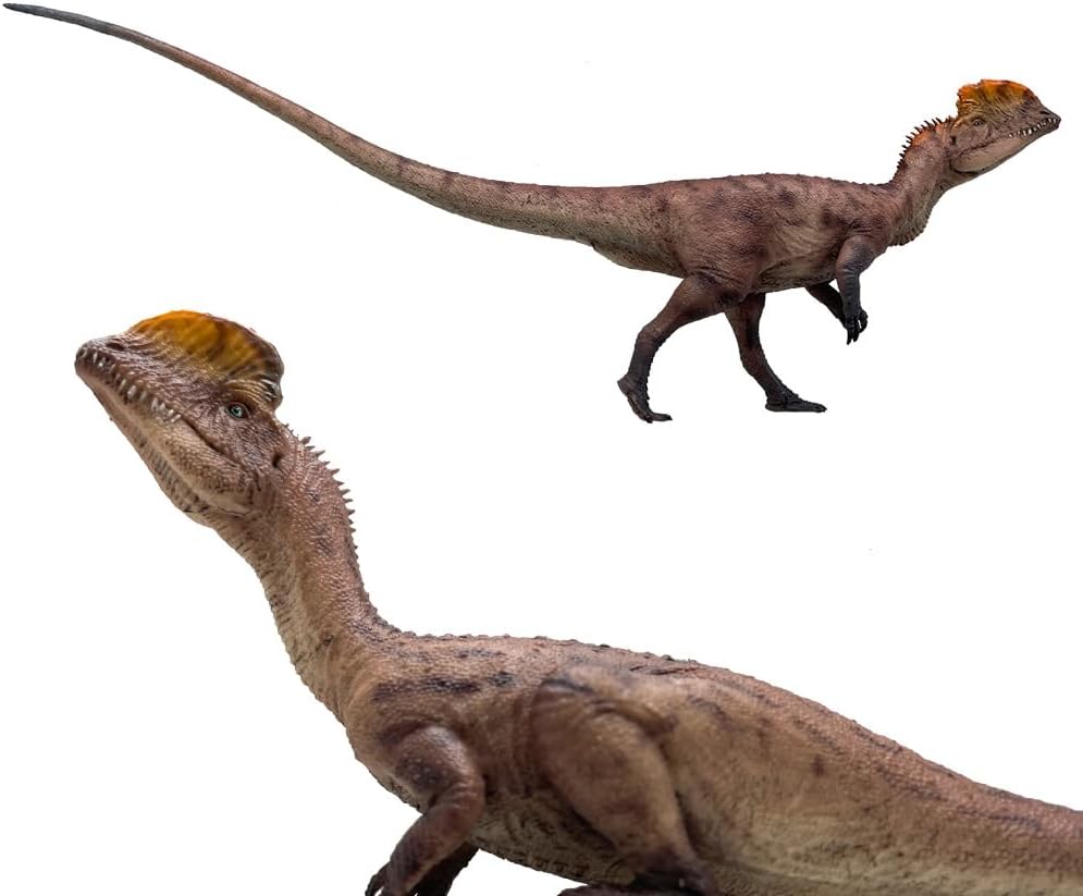 Dilophosaurus (Sun Xin+Gu da sao)