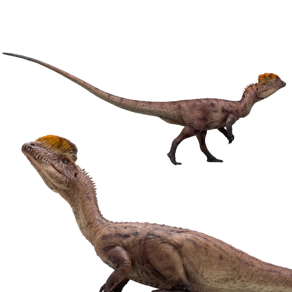 Amazon.com: HAOLONGGOOD Dilophosaurus (Sun Xin+Gu da sao) : Toys