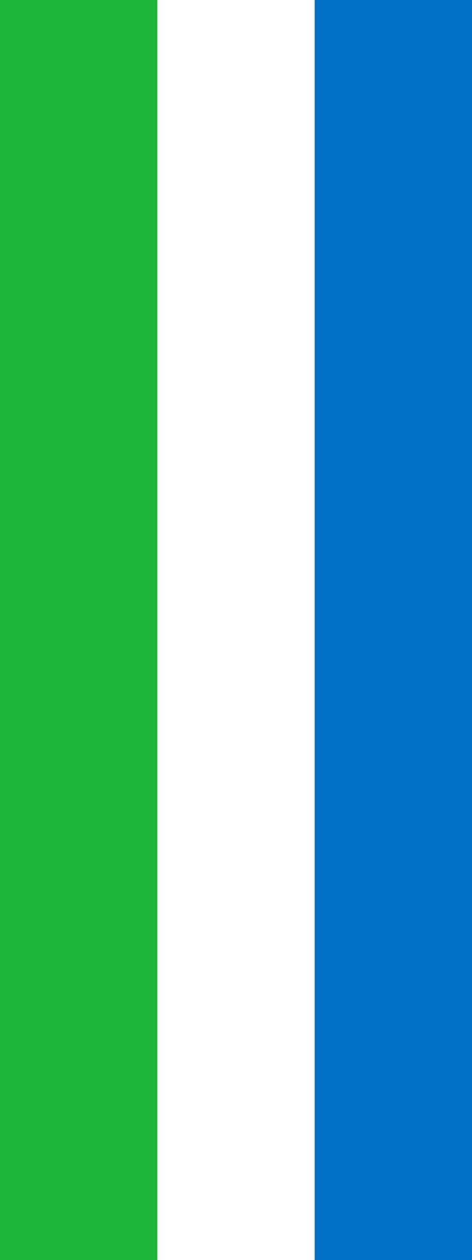 Drapeau Sierra Leone vertical 400x150cm抗风 résistant au déchirement pour mât