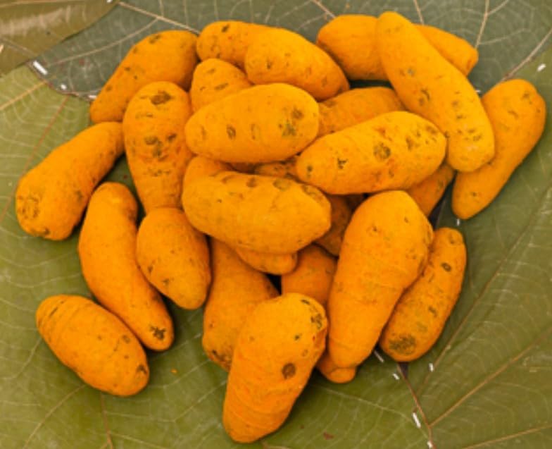 Gundu Manjal | Poosu Manjal Kilangu, உருண்டை மஞ்சள் I குண்டு மஞ்சள்- from Farms of Tamilnadu - Pack of 1 (500 gram) (B0CW6LD24D) Amazon Price History, Amazon Price Tracker