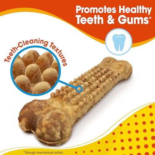 Image of Nylabone Nubz Natural Dog Treats Made with Real Chicken, Large, 2 Count | Long lasting dog chews, made in the USA, limited ingredients, highly digestible, dog dental treats for large dogs 30+ lbs
