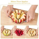 SAVORLIVING 4.72 inches Apple Slicer,12-Blade Extra Large Apple Corer, Heavy Duty Stainless Steel Apple Cutter and Divider with Updated Safe Blade System - Image 8