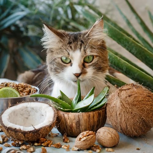 Wurmerli Katzenleckerlis Huhn | Freiwillig gefressen, hohe Akzeptanz | Alternative zu Tabletten & Liquids | Zuckerfrei | Mit Aloe Vera & Grüner Walnuss | 180 Stück | Made in Germany