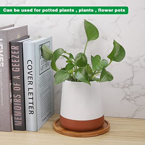 Zocipro 2Pcs Plant Pot Saucers, Round 15.5cm Bamboo Plant Tray, Pot Saucer for Plants Flower Drip Tray for Indoors Outdoor Garden - Image 2