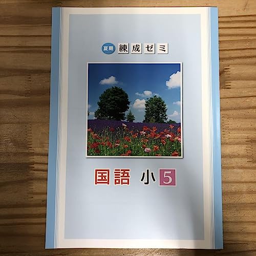 夏期練成ゼミ 国語 小5 単元別テスト付き - 製品詳細