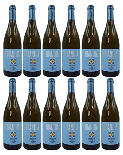 Pellegrino 1880 Dianthà Bianco IGP 2024 (12 x 0,75l) für 93,99 EUR bei amazon.de Bild: Pellegrino 1880 Dianthà Bianco IGP 2024 (12 x 0,75l) für 93,99 EUR bei amazon.de
