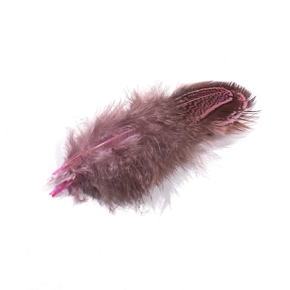 Lot De 100 Plumes Colorées Pour Bricolage Décoration De Boucles D