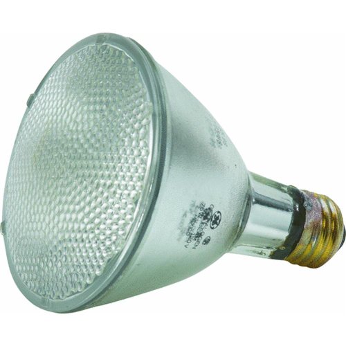 GE 16393 75-Watt PAR30L Edison Halogen Floodlight (B000P0DJO4) | Amazon ...