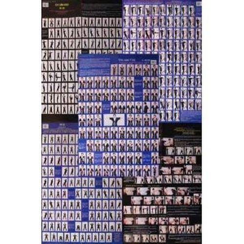 Poster di WTWing Tsun, 5 pezzi