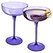Acrylic Shatterproof Martini, Margarita, Champagne & Cocktail Unbreakable Glasses | Set of 2 | Large Plastic Coupe Glasses 15oz, Tritan Drinkware, BPA-free, Reusable, Pool, Indoor & Outdoor (Purple)