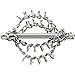 Chain-Spinning Head wihtout Ring with 4 Chains and Spikes 16mm.