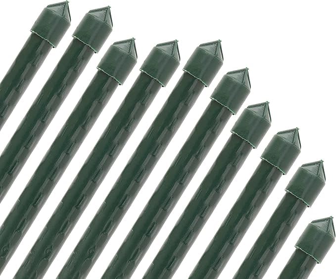 Suinga Lot de 50 Tuteur en Bambou plastifié 150 cm, 12-14 mm, Tubes en Bambou pour Plantes et Arbres, Baguettes de Bambou, Canne de Bambou