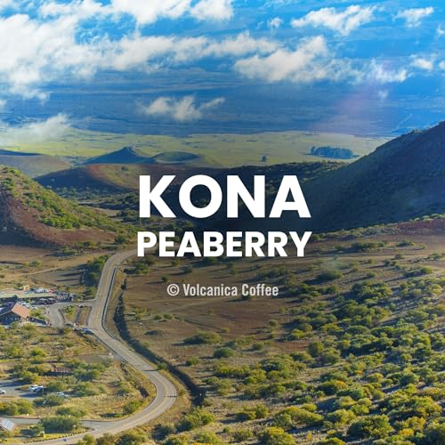 Kona Peaberry Coffee, 100% Pure, Gran Reserve, Whole Bean, Fresh Roasted, 16-ounce miniatura 2
