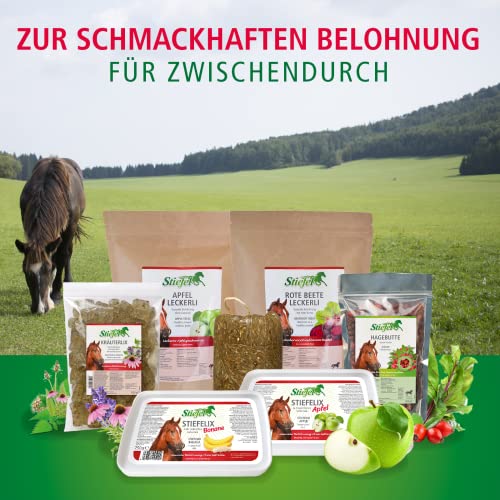 Stiefel Apfelleckerli für Pferde, getreidefreies, gesundes Leckerli mit Apfelgeschmack zur schmackhaften Belohnung, ideales Leckerli für Freizeit-, Sport-, Leistungs- & Zuchtpferden, 1kg