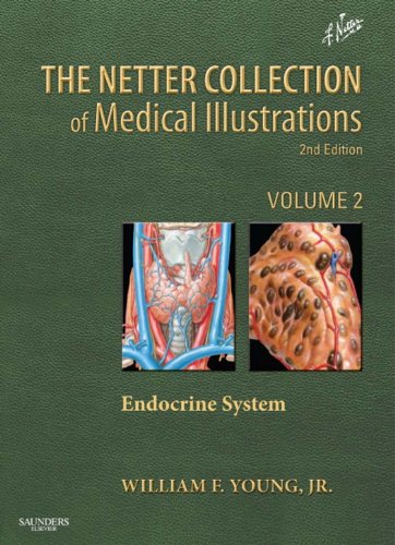 Netter Collection of Medical Illustrations: Endocrine System: Volume 2 (Netter Green Book Collection)