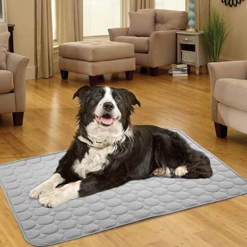 FINELYCR Kühlende Hundedecke, 100 × 70 cm Kühlende Decke Hund, Grau Kühldecke Hund Ohne Gel, Weich und Atmungsaktiv, Langlebig für Katzen und Hunde Im Sommer
