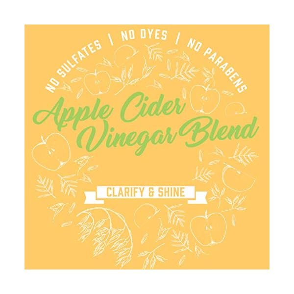 Aveeno-Apple-Cider-Vinegar-Sulfate-Free-Shampoo-for-Balance-High-Shine-Daily-Clarifying-Soothing-Scalp-Shampoo-for-Oily-or-Dull-Hair-Paraben-Dye-Free-12-Fl-Oz Aveeno Scalp Soothing Shampoo, Apple Cider Vinegar Blend, 12 Fl Oz