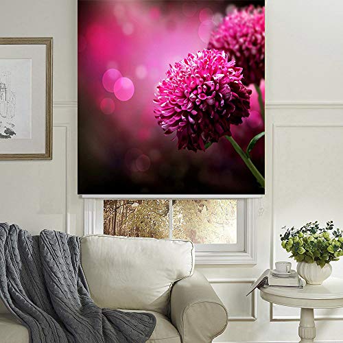 Kayra Decor PVC Soft Blackout Customized Window Roller Blind Curtains - 4 ft x 4 ft, Squash