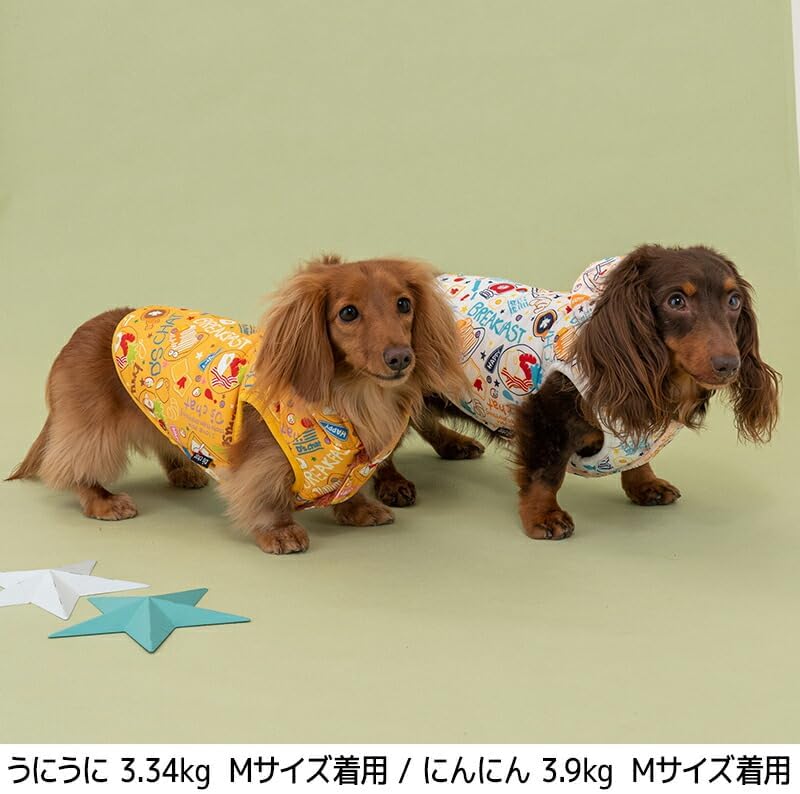 ポップ柄アウター XL/XXL/DL/FBS/FBM/FBL D's Chat-ディーズチャット- 犬服 小型犬 ドッグウェ