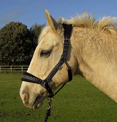 Rhinegold Star Spangled Headcollar & Rope Set, Black, Pony