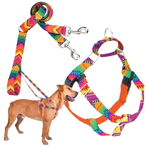 2 Hounds Design - Freedom No-Pull Harness & Training Leash ...