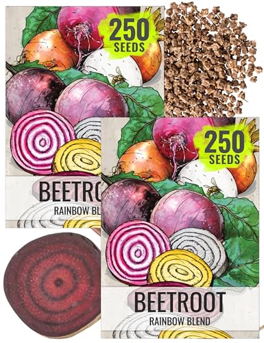 Seed Needs Mixed Beet Seeds for Planting a Rainbow of