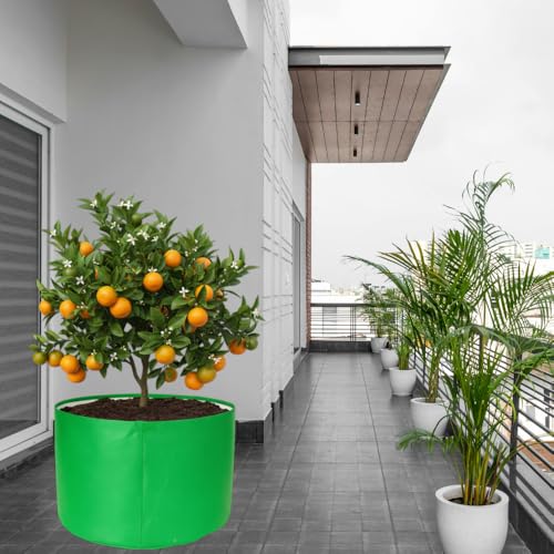 Image of HDPE UV Treated 340 GSM Plant Growing Bags for Terrace Gardening Easy to Use 24 x 15 Inch - Pack of 2