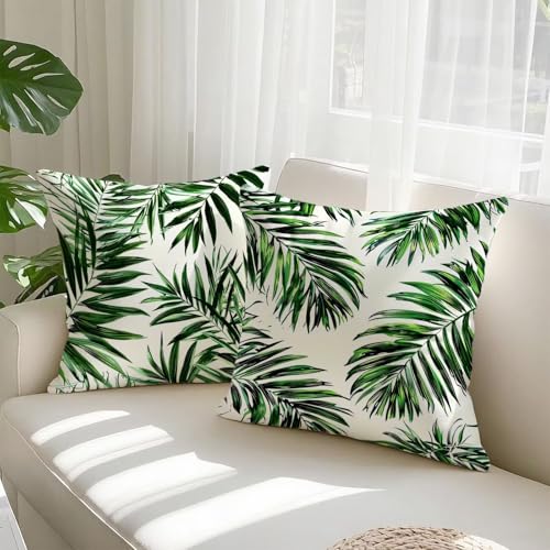 Housse de coussin 60x60 en velours vert chic et imperméable pour canapé