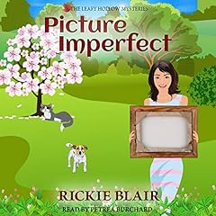 Picture Imperfect cover art