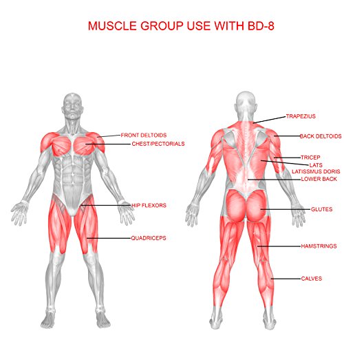 Valor Fitness BD-8 Independent Squat Stand Towers with Adjustable Uprights, J-Hooks, and Safety Catches