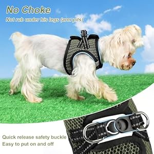 Dog Harness for Small Dogs No Pull Dog Harness Soft Air Mesh Puppy Harness Step in Small Dog Harness Cat Harness All Weather Outdoor Dog Vest Harness for Pet Cats Dogs army Green Medium  Cucciolini Doodles Dog harness for small dogs no pull dog harness soft air mesh puppy harness step in small dog harness cat harness all weather outdoor dog vest harness for pet cats dogs army green medium   cucciolini doodles