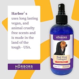 Harbors Bad Dog Cologne  Friday Night  Cucciolini Doodles Harbors bad dog cologne  friday night   cucciolini doodles