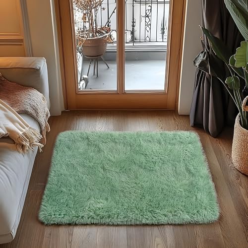 Small Area Rug, 2x3 Rug for Bedroom Shaggy Throw Rugs for Dorm Rug, Soft Shag Carpet for Kids Room, Plush Comfy Fluffy Bedside Rug for Home Decor Aesthetic, Mint Green