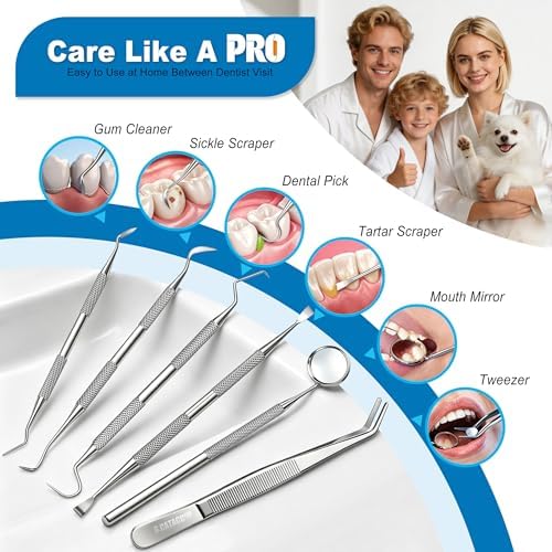 G.CATACC Dental Tools, Dental Pick Teeth Cleaning Tools Hygiene Kit, Plaque Remover for Teeth, Professional Stainless Steel Tooth Scraper Plaque Tartar Cleaner - with Case - 3