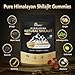 Shilajit for Men & Women - Himalayan Shilajit Gummies & 100% Pure Natural Shilajit Gold Resin - Ashwagandha for Men, Fulvic Acid, 85+ Minerals, Energy & Immune - Supplement 60 Gummies