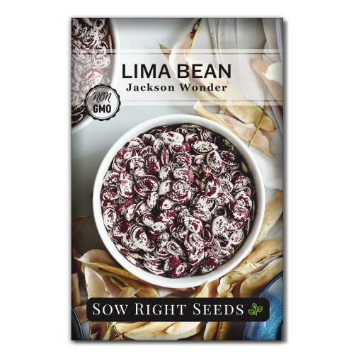 Sow Right Seeds - Jackson Wonder Lima Bean Seeds for Planting - Speckled Butterbean - Protein Packed Bush Bean Variety - Non-GMO Heirloom Packet with Instructions to Plant a Home Vegetable Garden (1)