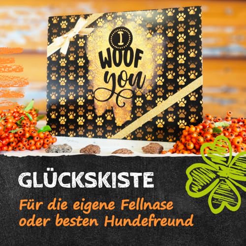 QCHEFS Glückskiste NAPF für Hunde, Schleck Napf + Aufbewahrung Box für Zahnpflege Leckerlie mit Starterset Zahnpflege bei Mundgeruch und als Zahnsteinentferner